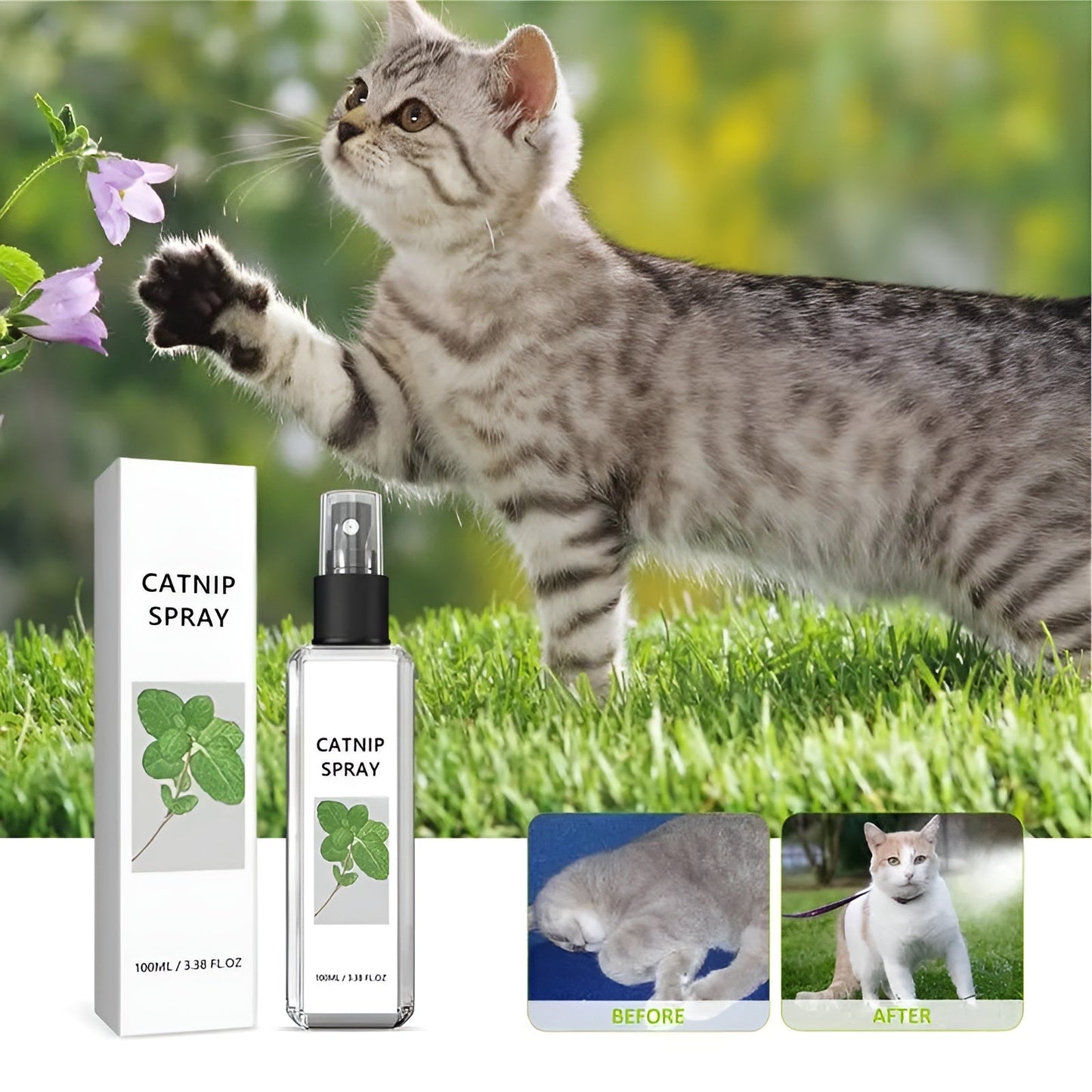 CatAura — Sofortige Freude schaffen