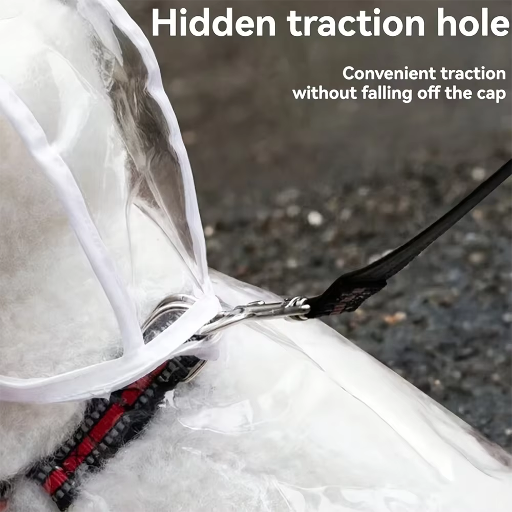 Transparenter wasserdichter Regenmantel für Hunde mit Kapuze (S-4XL)