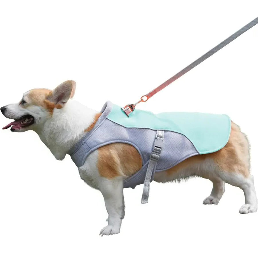 ChillPaw Vest — Øjeblikkelig Kølende Frihed