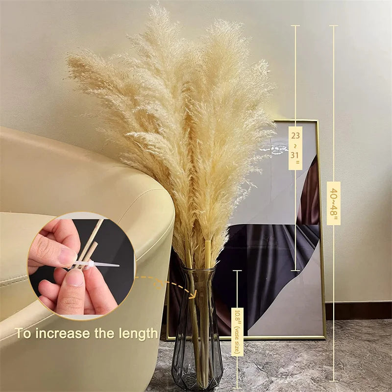 NaturEleganz - Böhmische Pampasfedern | Stilvolle natürliche Dekoration | 50 % RABATT