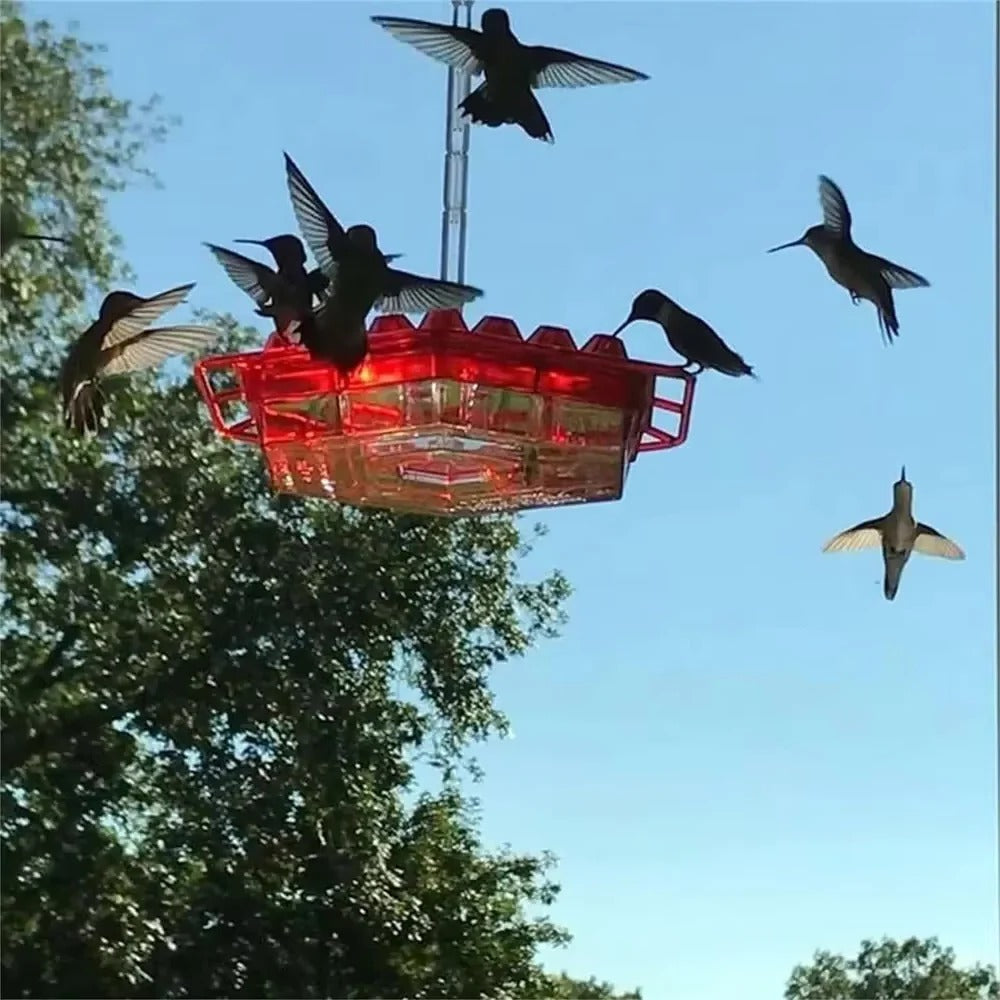 HummingGlow — Ameisenfreie Kolibri-Oase