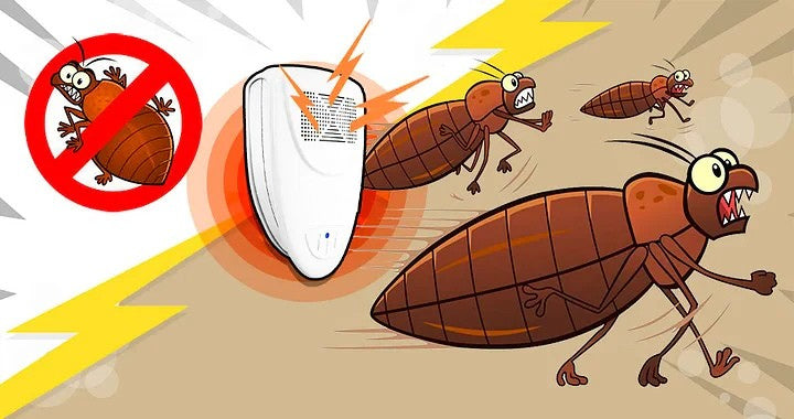 DreamGuard — Stille Frihed fra Sengebugs