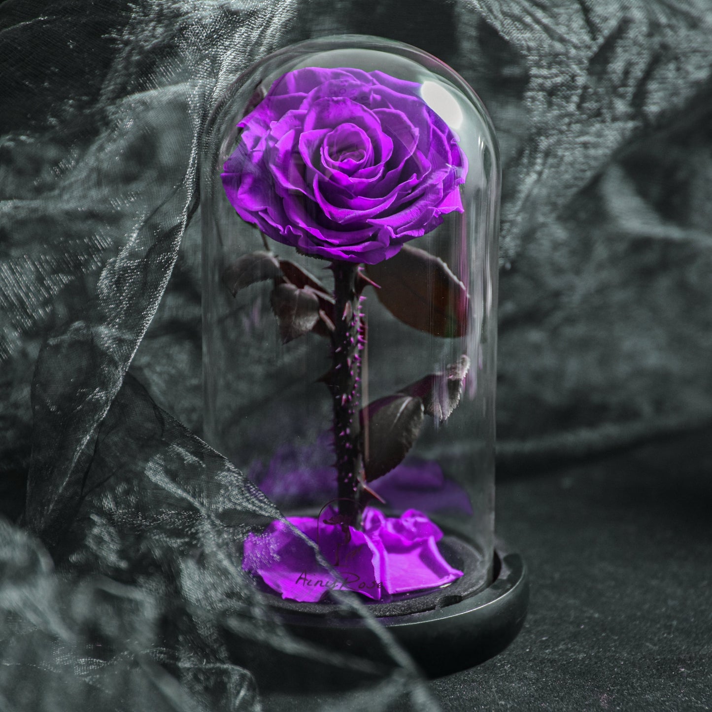 EternalBloom - Forever Rose, evighedsrose i glaskuppel, 3 dages leveringstid, blå | 50% Rabatt