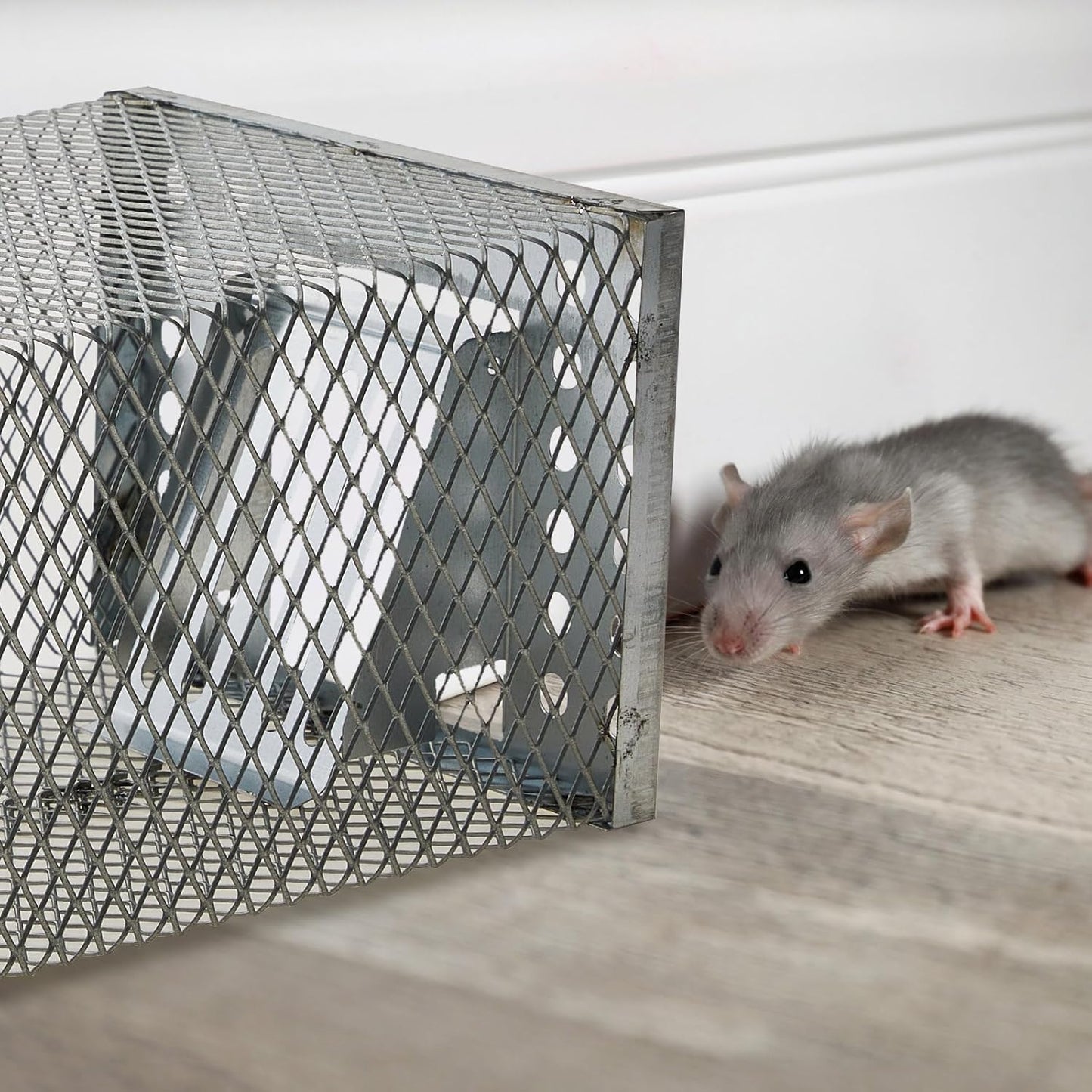 EverSafe — Humant skadedyrbekæmpelse
