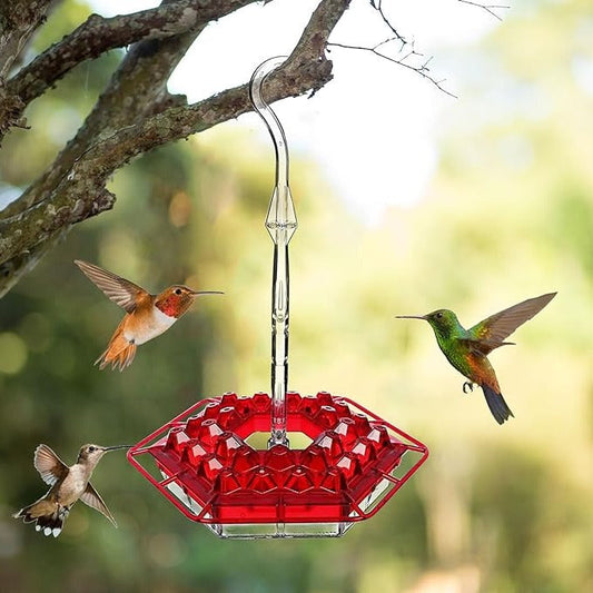 HummingGlow — Myrefri Kolibrieoase