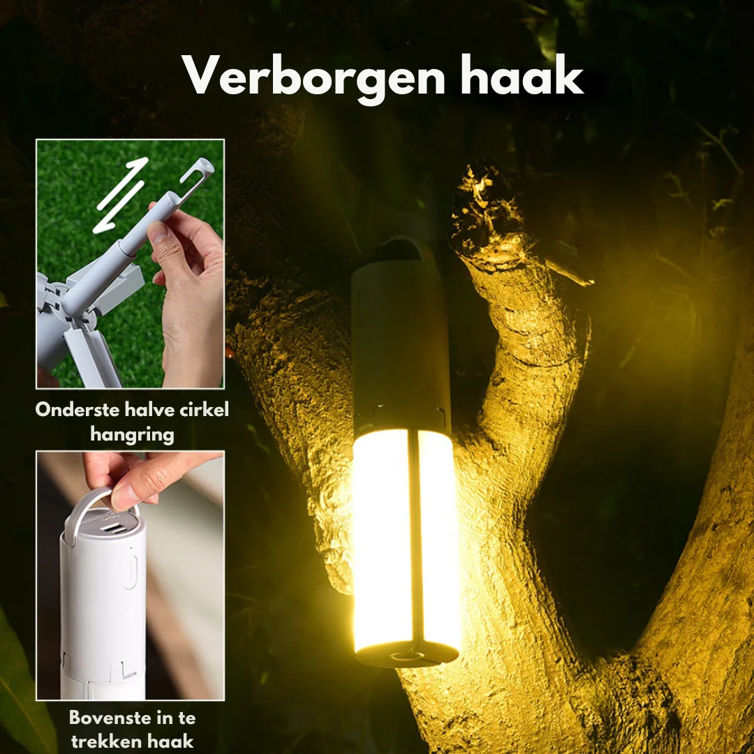 LumaForge — Kontroller Hver Nat