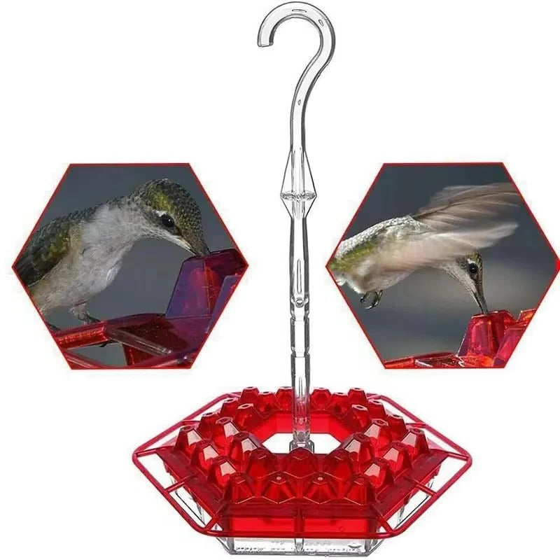 HummingGlow — Ameisenfreie Kolibri-Oase