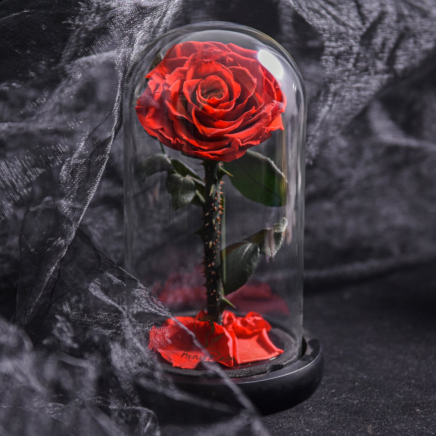 EternalBloom - Forever Rose, evighedsrose i glaskuppel, 3 dages leveringstid, blå | 50% Rabatt