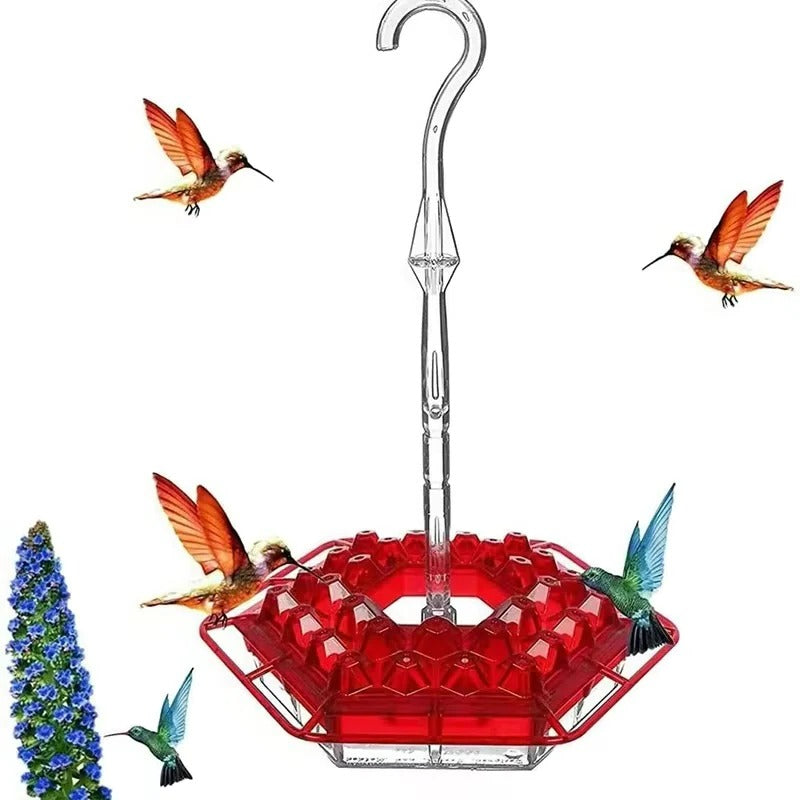 HummingGlow — Ameisenfreie Kolibri-Oase