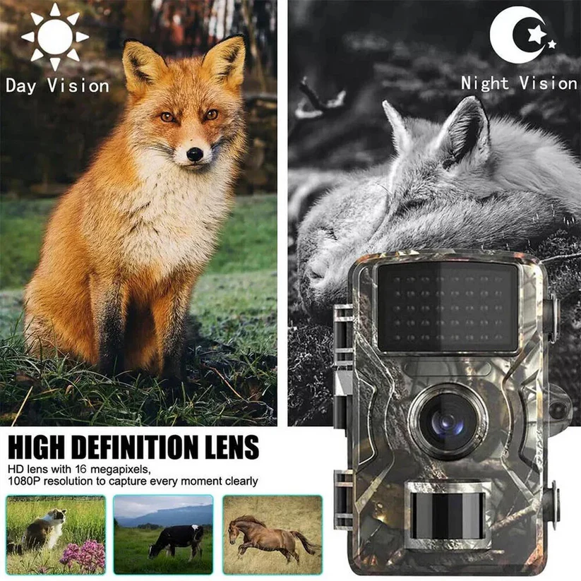 Nature Vision Beobachter — Halte jeden Moment fest