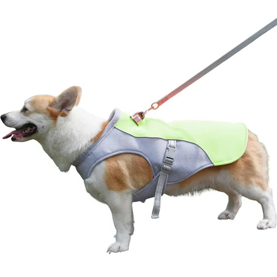 ChillPaw Vest — Øjeblikkelig Kølende Frihed