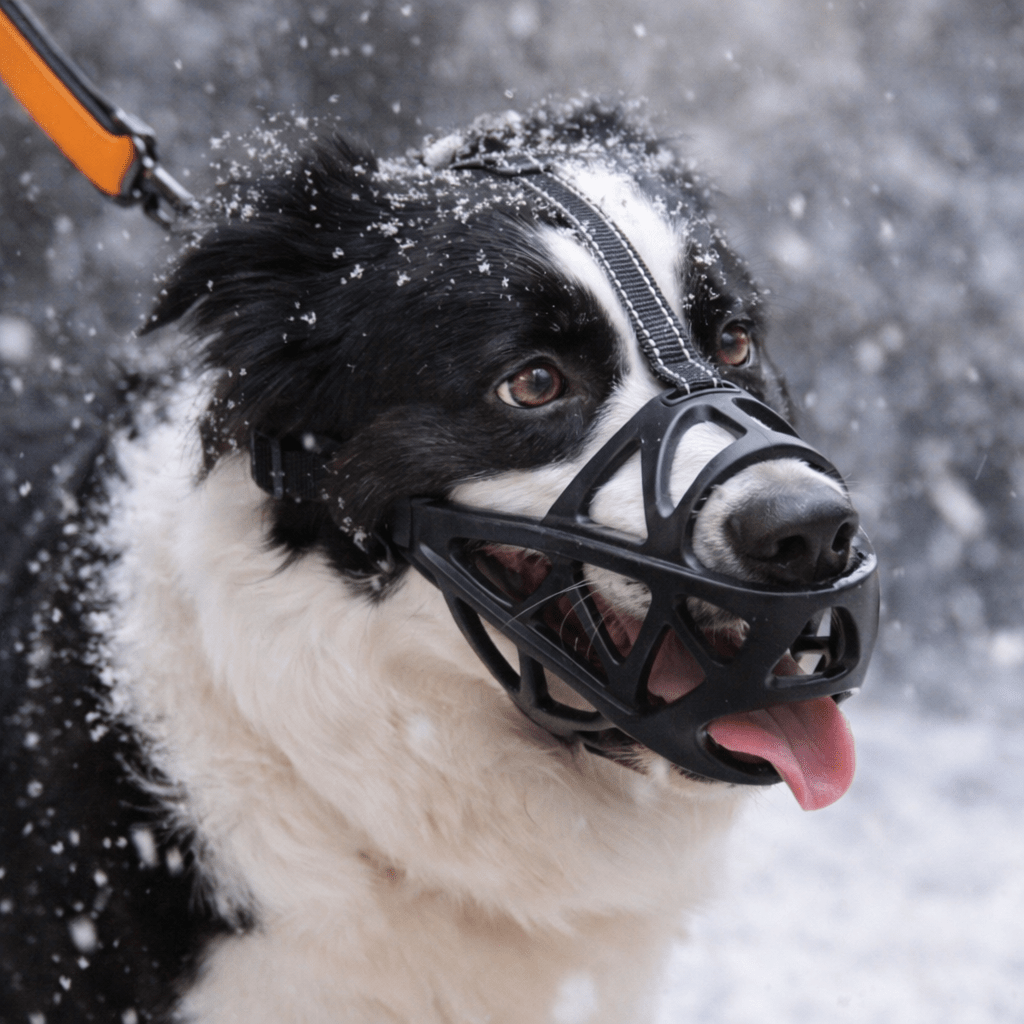 CalmiSure —  Hundemasker til hvalpe – åndbart hundeovertræk – gømaske til kæledyr