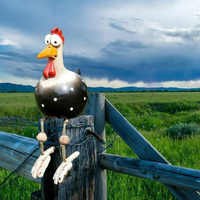 Grappige Hønse Tuindekoration i Vejrbestandig Harpiks med Bevægelige Ben – Farverig Havefigur til Udendørsplads-4