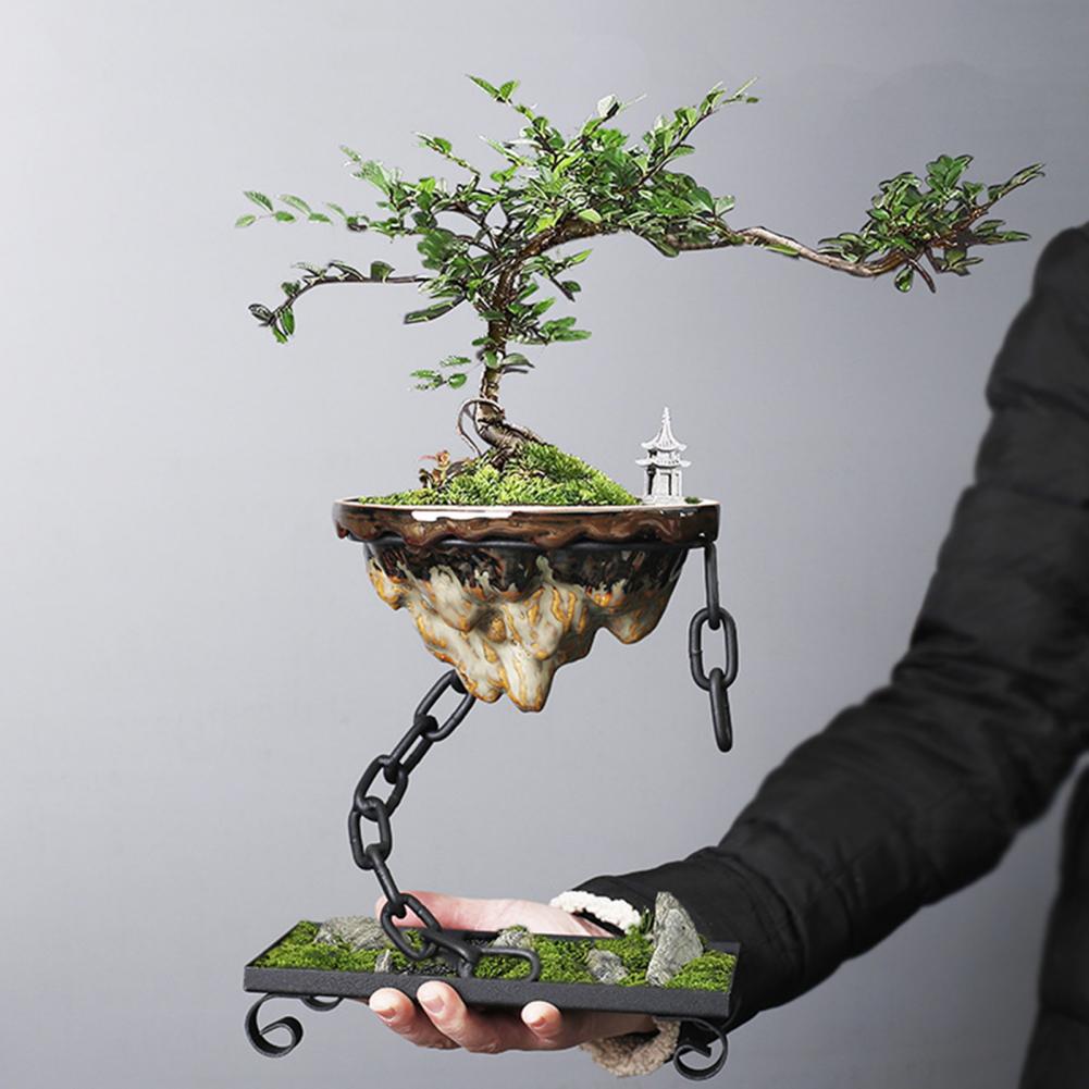ZenBloom - Bonsai-Pflanzen mit Kettenaufhängung