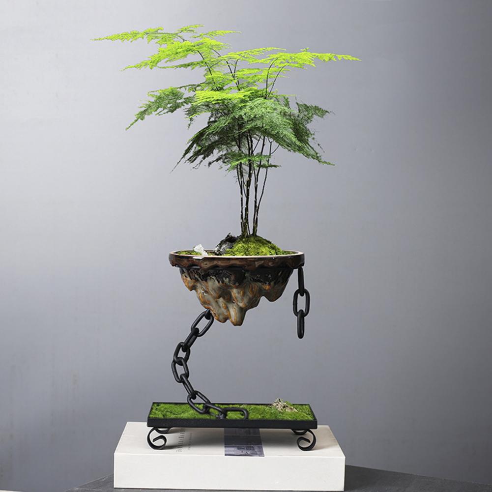 ZenBloom - Bonsai-Pflanzen mit Kettenaufhängung