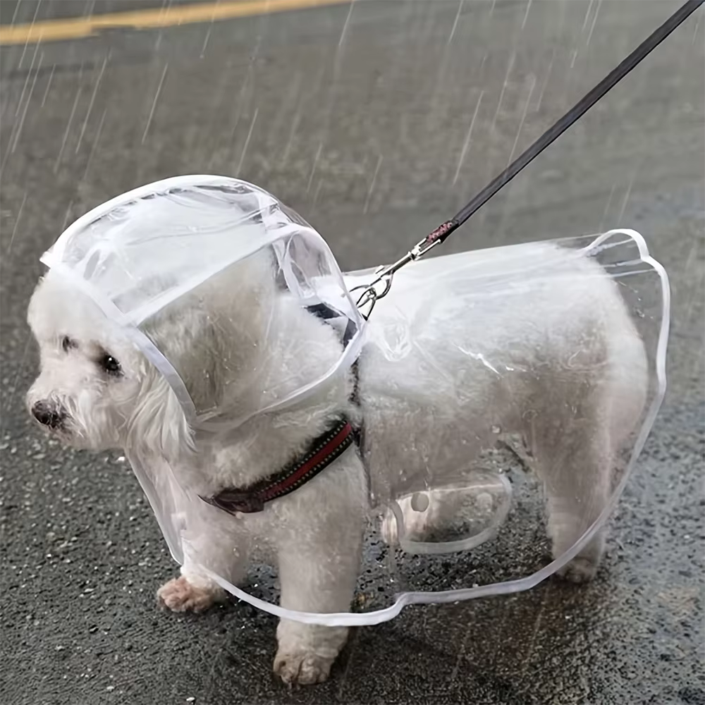 Transparenter wasserdichter Regenmantel für Hunde mit Kapuze (S-4XL)