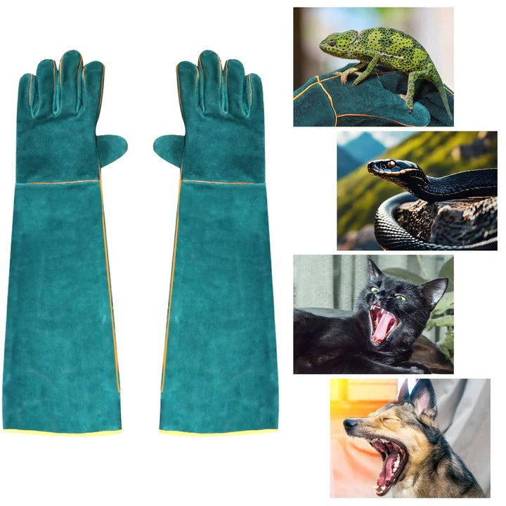 IronPaw Handsker — Uovervindelig Grebs Tillid