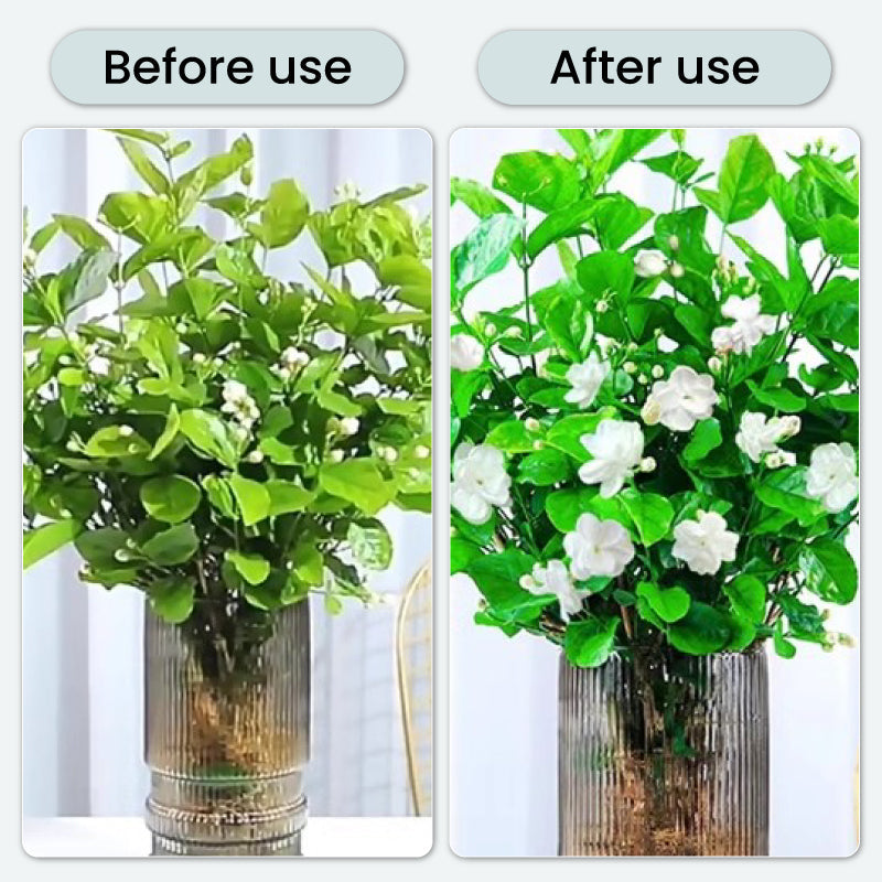GlowBloom — Halte Blumen lebendig
