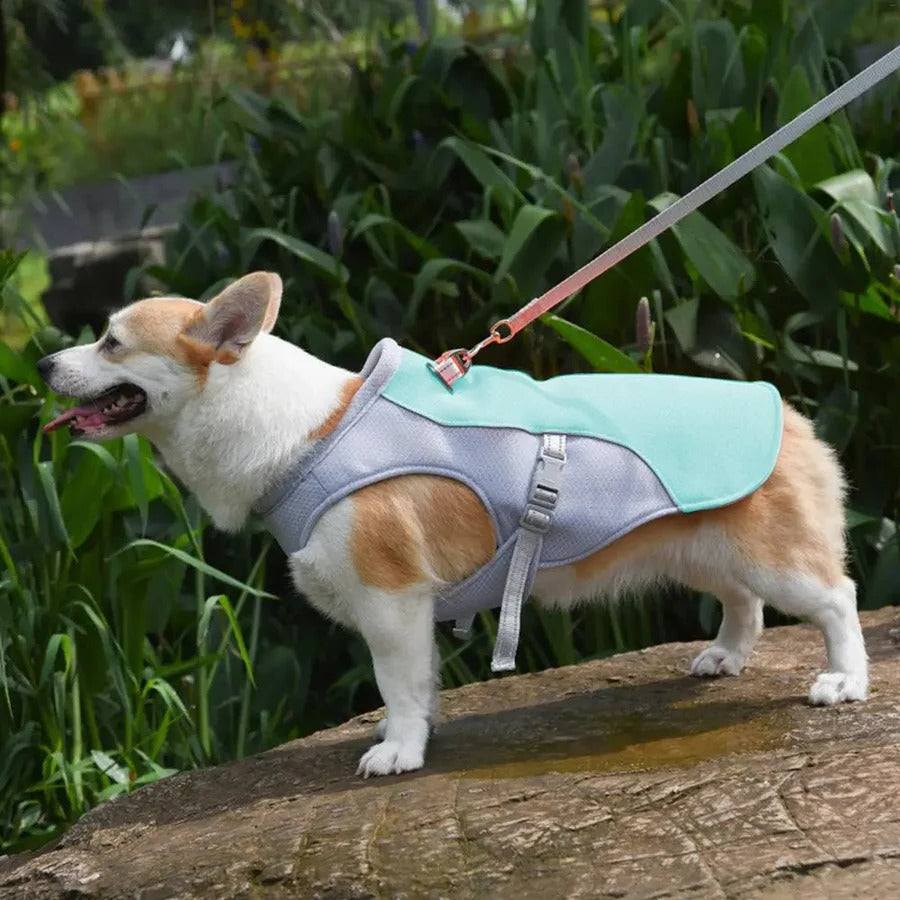 ChillPaw Vest — Øjeblikkelig Kølende Frihed