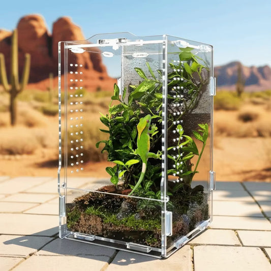 Ausbruchsichere, belüftete, transparente Futterbox für Reptilien (Acryl)