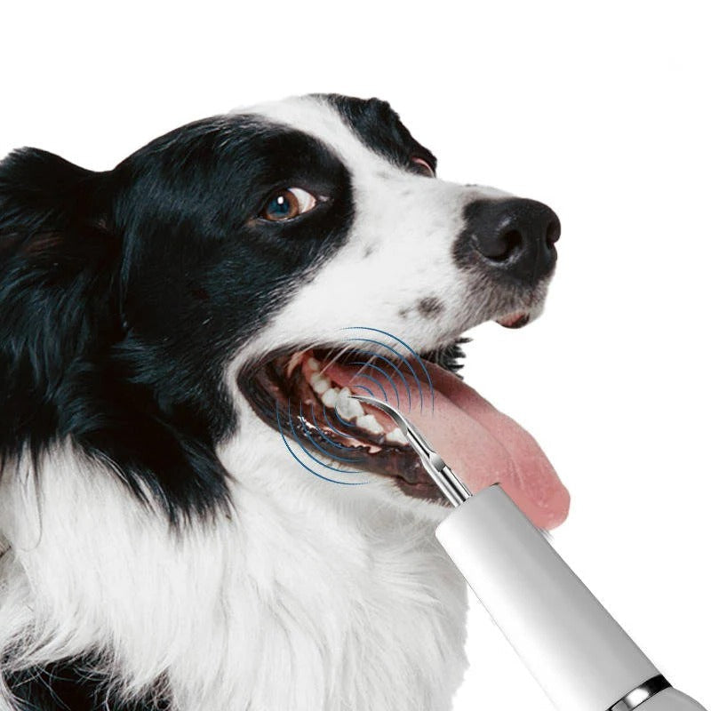PetSmile Pro — rolige, rene tænder