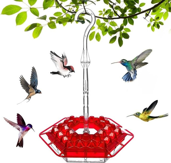 HummingGlow — Ameisenfreie Kolibri-Oase