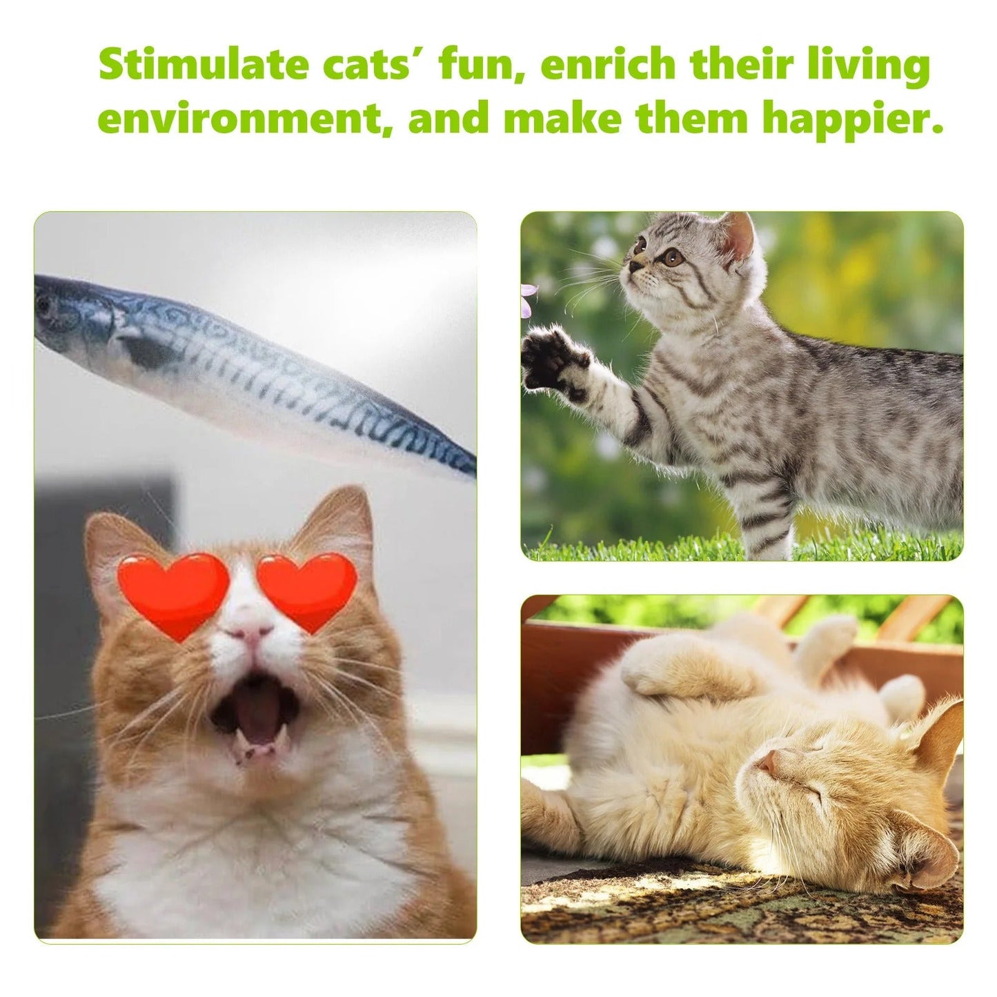 CatAura — Sofortige Freude schaffen