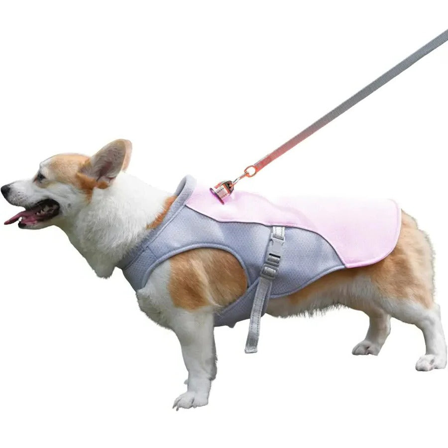 ChillPaw Vest — Øjeblikkelig Kølende Frihed