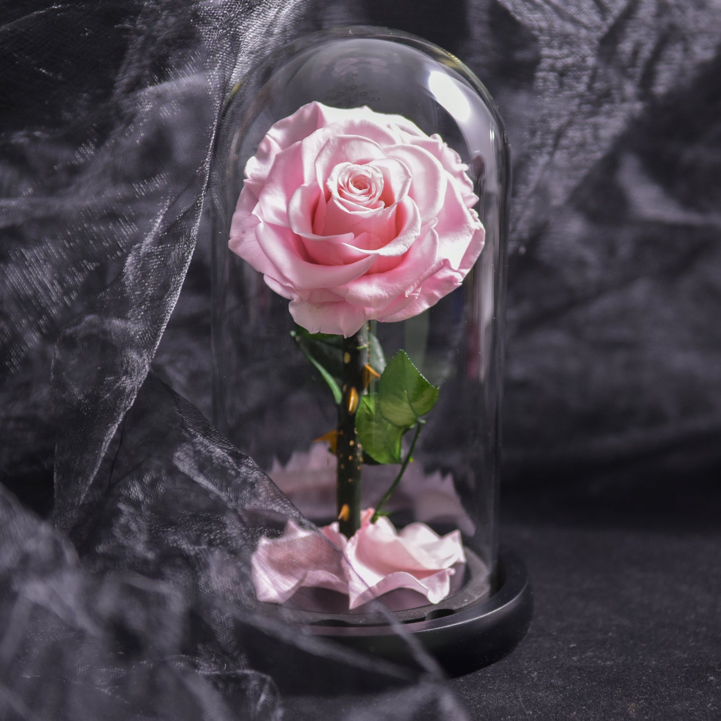 EternalBloom - Forever Rose, evighedsrose i glaskuppel, 3 dages leveringstid, blå | 50% Rabatt