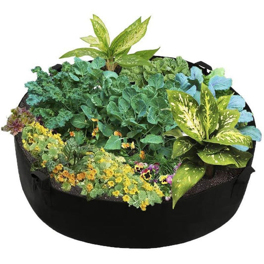 TerraBloom Pflanzenkapsel — Wohlbefinden und Wachstum überall