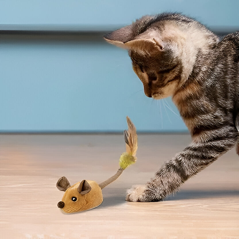 Bewegliche Mäuse für Katzen | piepsendes Katzen-Spielzeug | automatisch bewegliches Katzen-Spielzeug | Smarte Katzen-Spielzeuge – Spielzeug für Kätzchen mit automatischer Bewegung